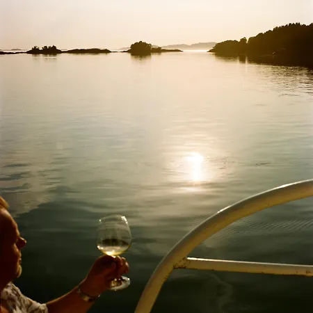 Kyn Sjostuer * Stavang